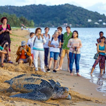 Le Petit Marin Des Salines A 0 Metre De La Plage Remire-Montjoly Zewnętrze zdjęcie